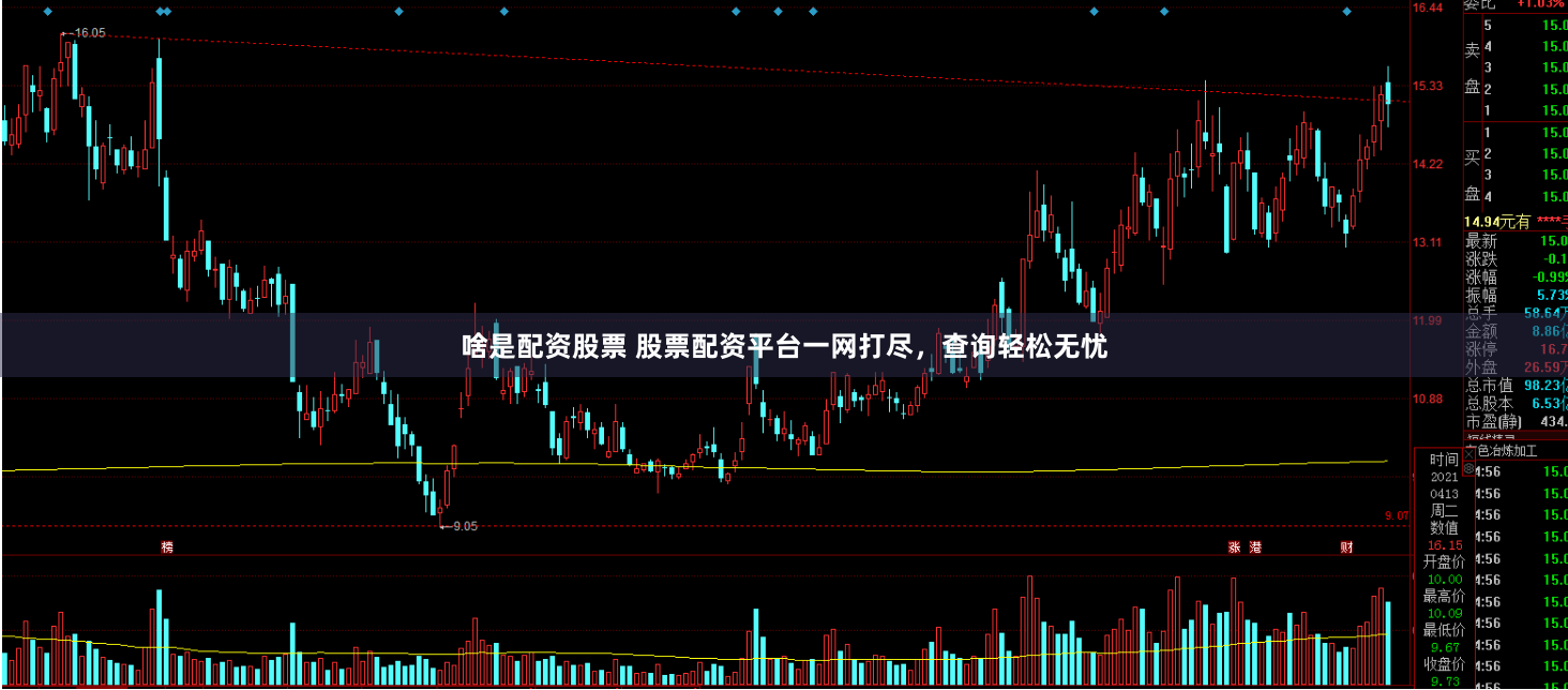 啥是配资股票 股票配资平台一网打尽，查询轻松无忧
