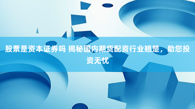 股票是资本证券吗 揭秘国内期货配资行业翘楚，助您投资无忧