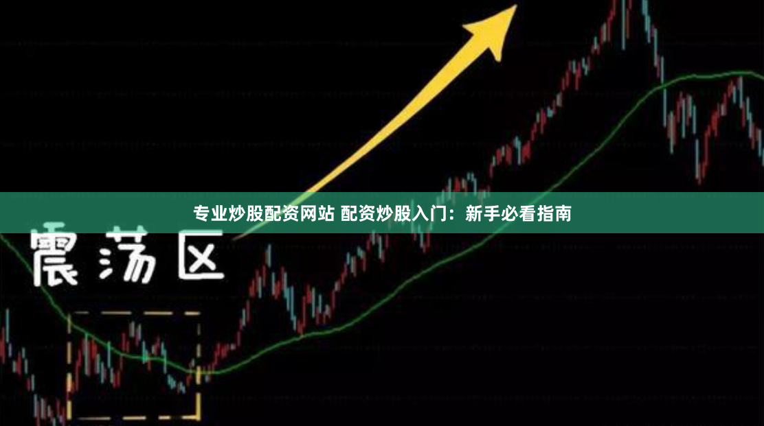 专业炒股配资网站 配资炒股入门：新手必看指南
