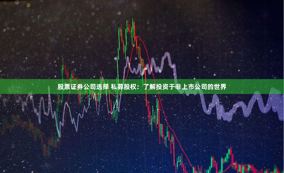 股票证券公司选择 私募股权：了解投资于非上市公司的世界